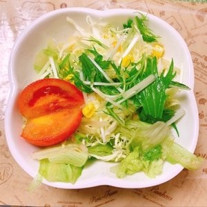 海藻麺とトマトのグリーンサラダ